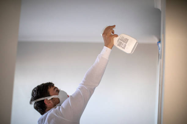 Best Industrial Mold Remediation in Abbeville, AL